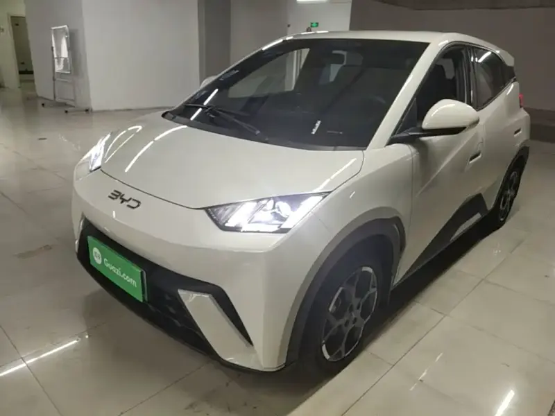 BYD Seagull, 2025