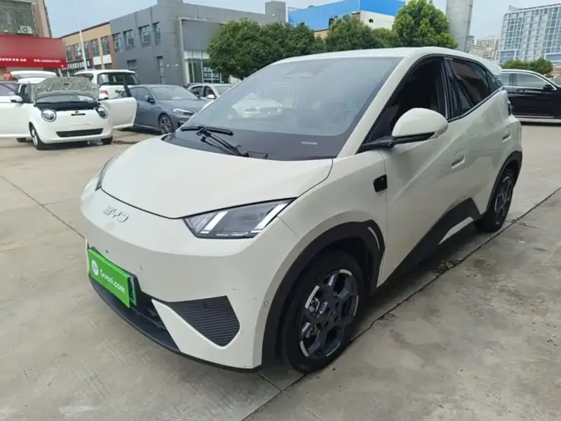 BYD Seagull, 2025