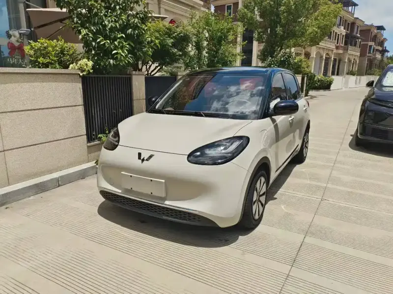 Wuling Bingo, 2024