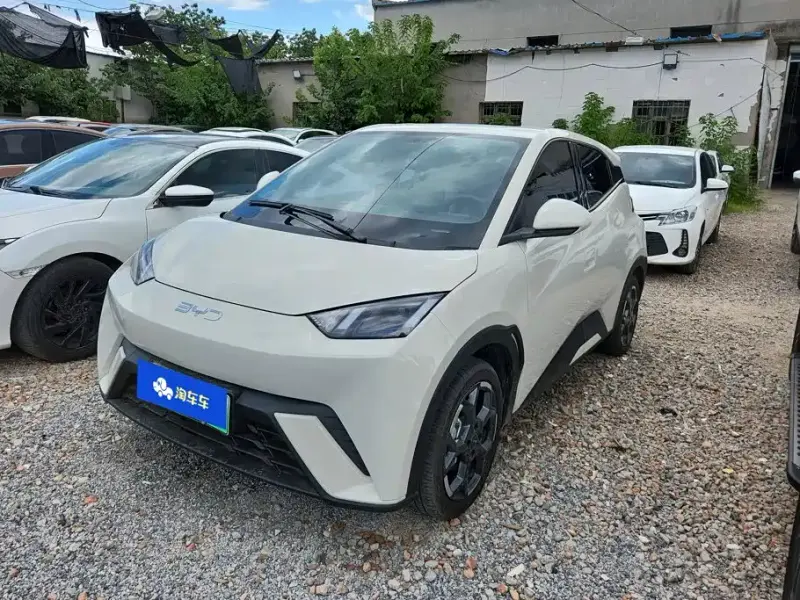 BYD Seagull, 2024