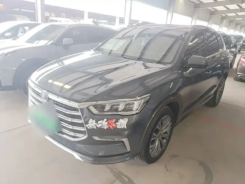 BYD Pro New Energy, 2021