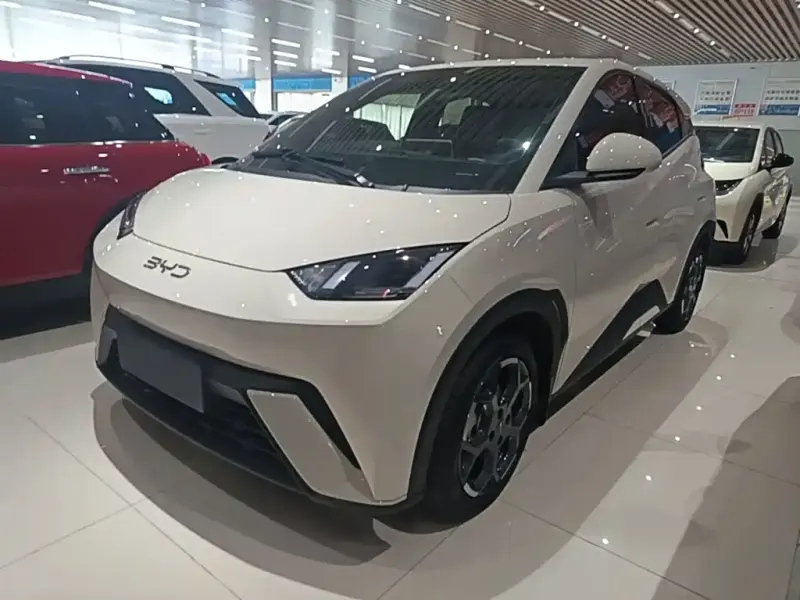 BYD Seagull, 2024
