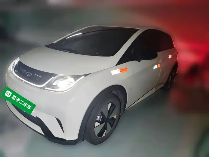 BYD Dolphin, 2023