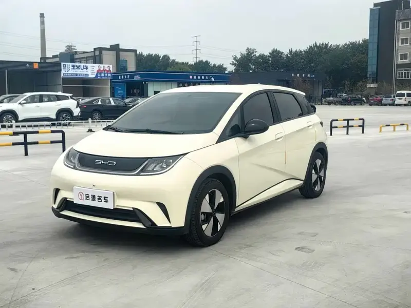BYD Dolphin, 2024
