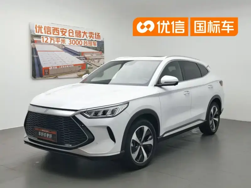 BYD PLUS New Energy, 2021