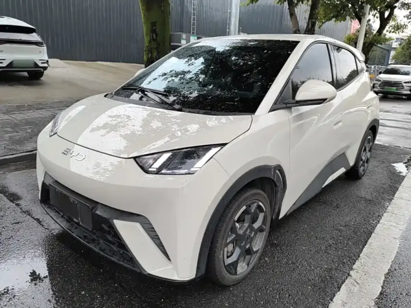 BYD Seagull, 2025