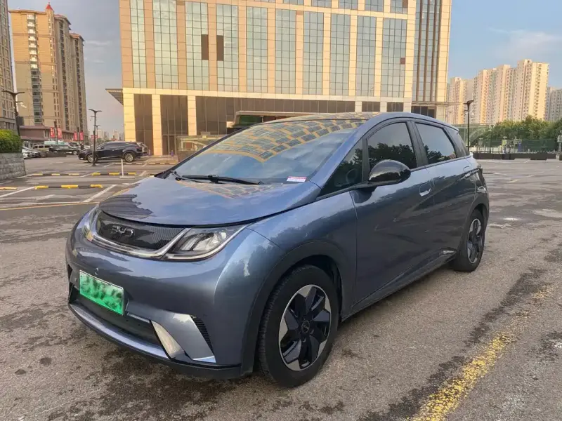 BYD Dolphin, 2024