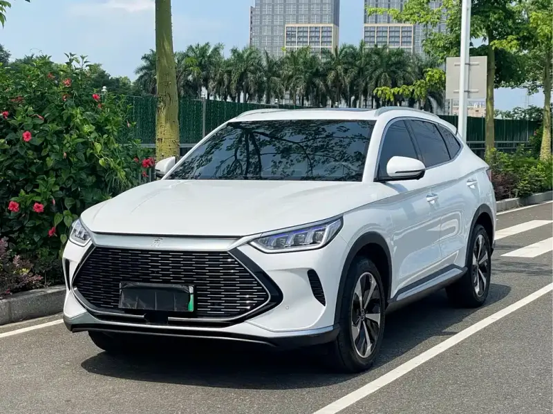 BYD PLUS New Energy, 2022