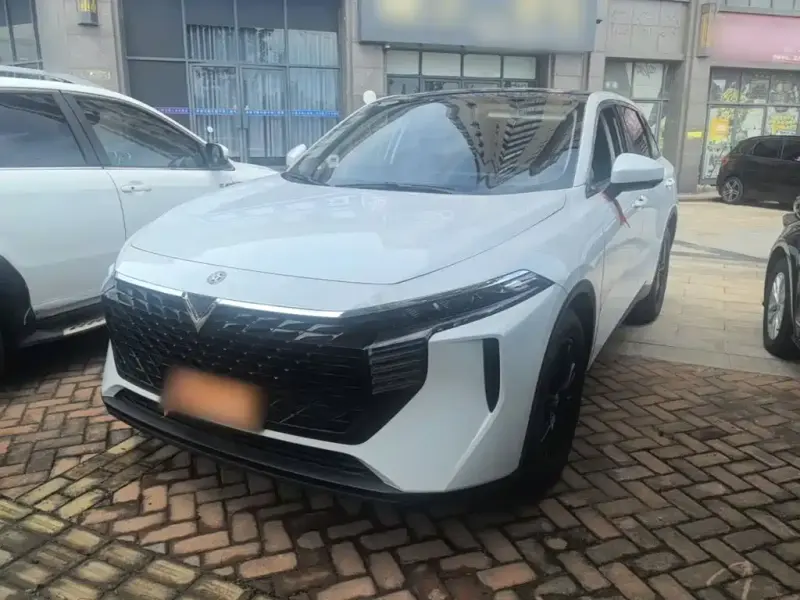 Venucia V, 2025