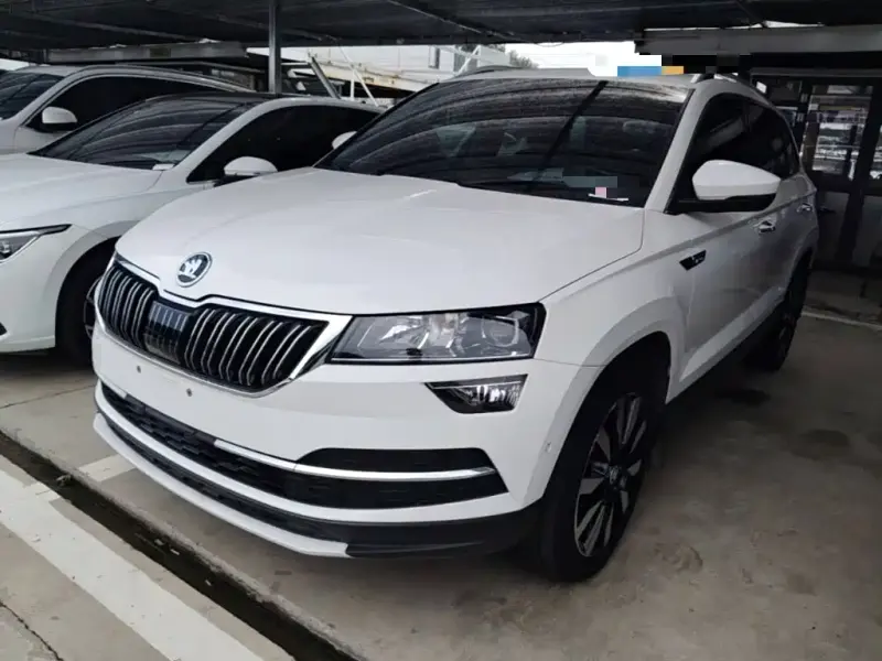 Skoda Karoq, 2021