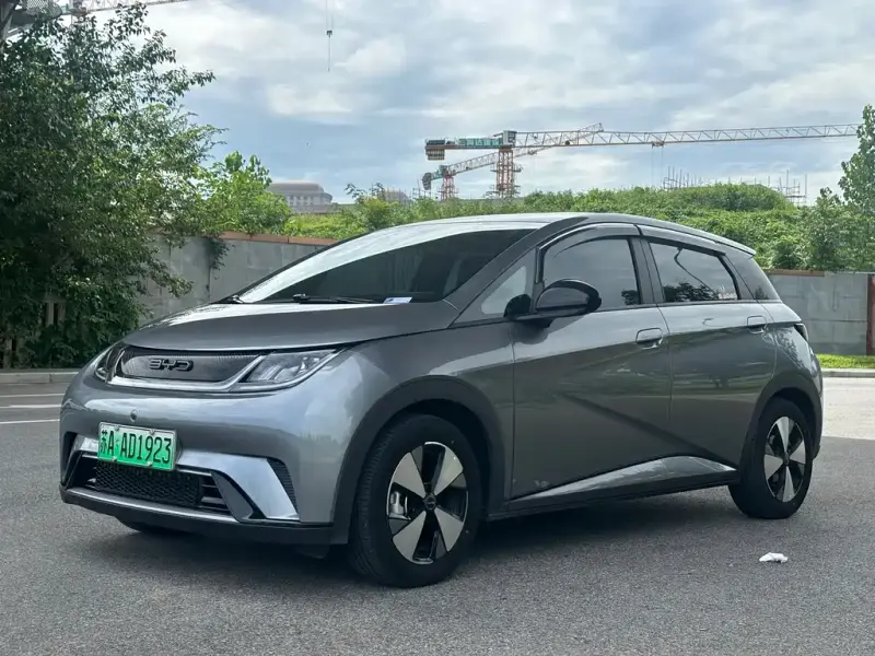 BYD Dolphin, 2024