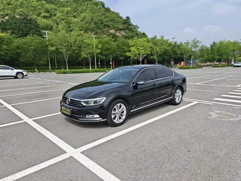 Volkswagen Magotan, 2019