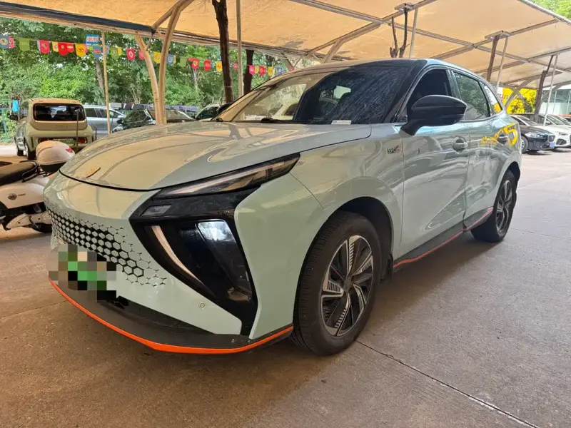 Fengxing Leiting, 2024