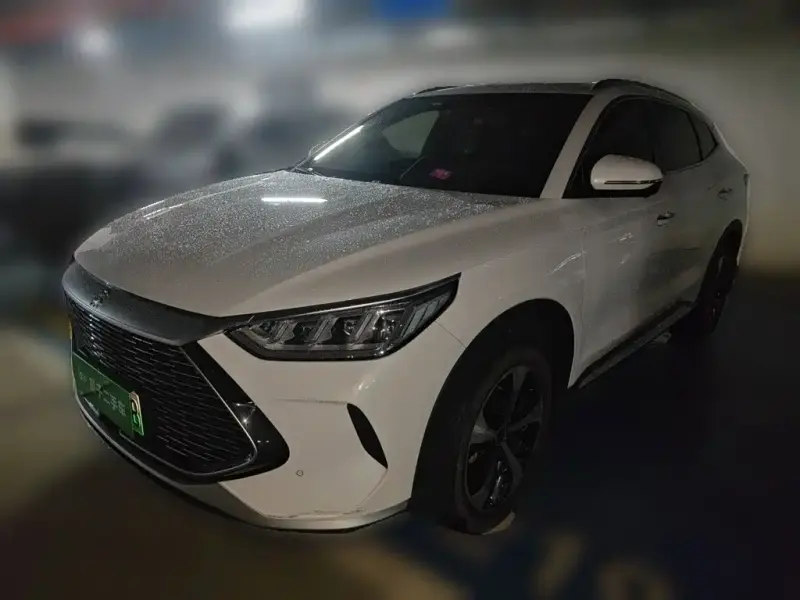 BYD PLUS New Energy, 2023