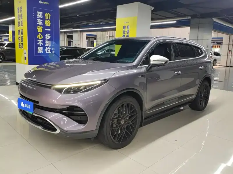 Denza X, 2020