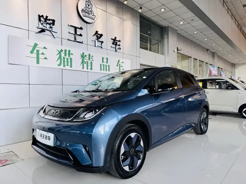 BYD Dolphin, 2024
