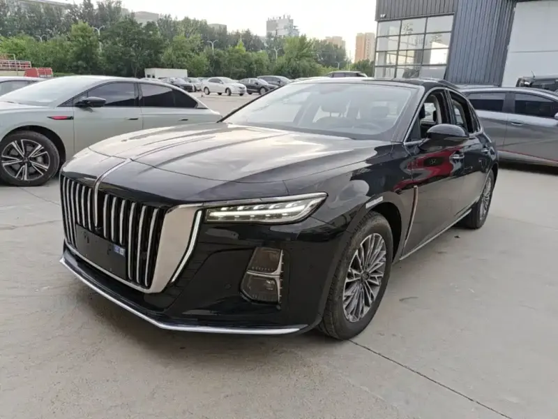 Hongqi H5, 2024
