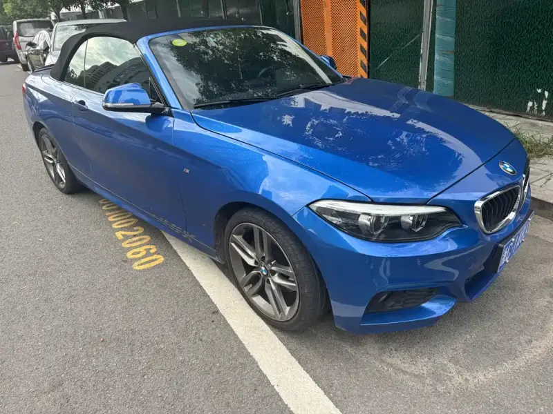 BMW 2 Series (Import), 2017