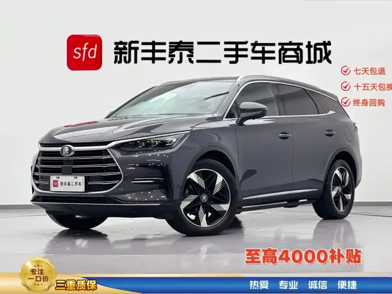 BYD Tang New Energy, 2023