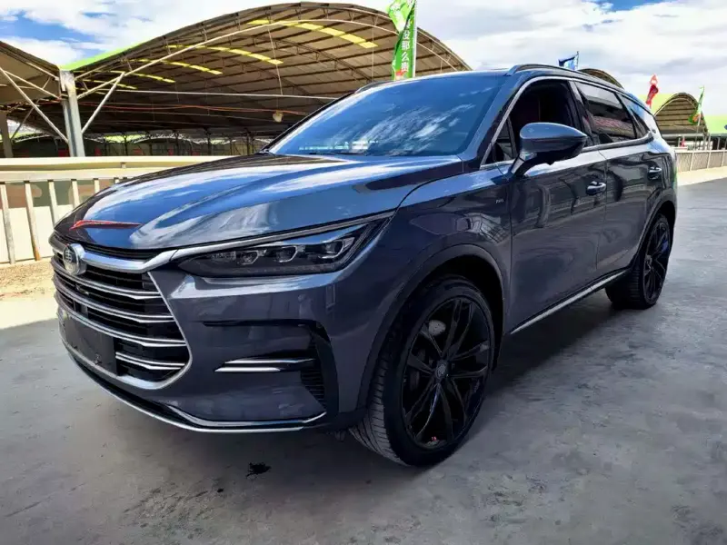 BYD Tang New Energy, 2021