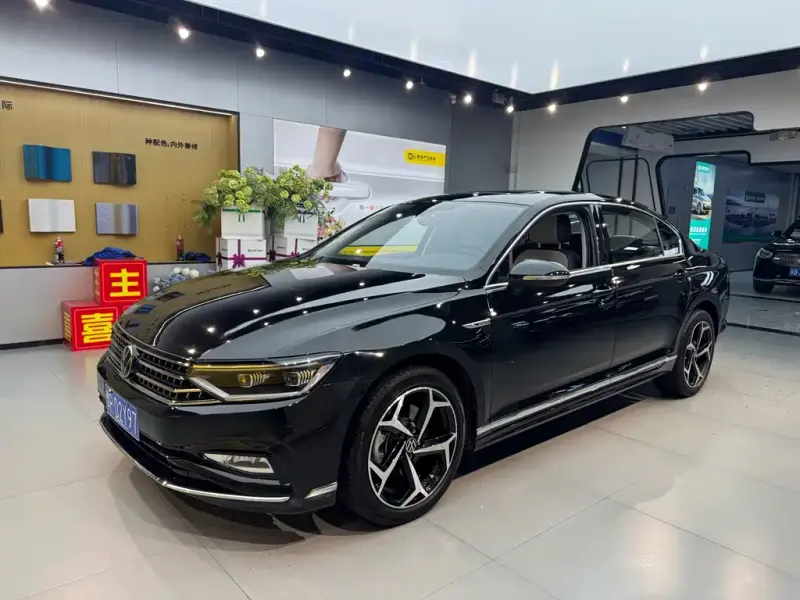Volkswagen Magotan, 2024