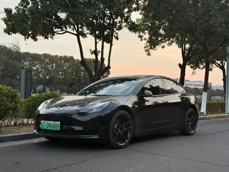 Tesla Model 3, 2021
