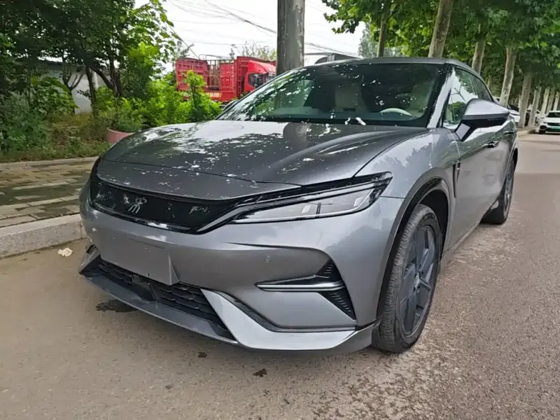 BYD L EV, 2024