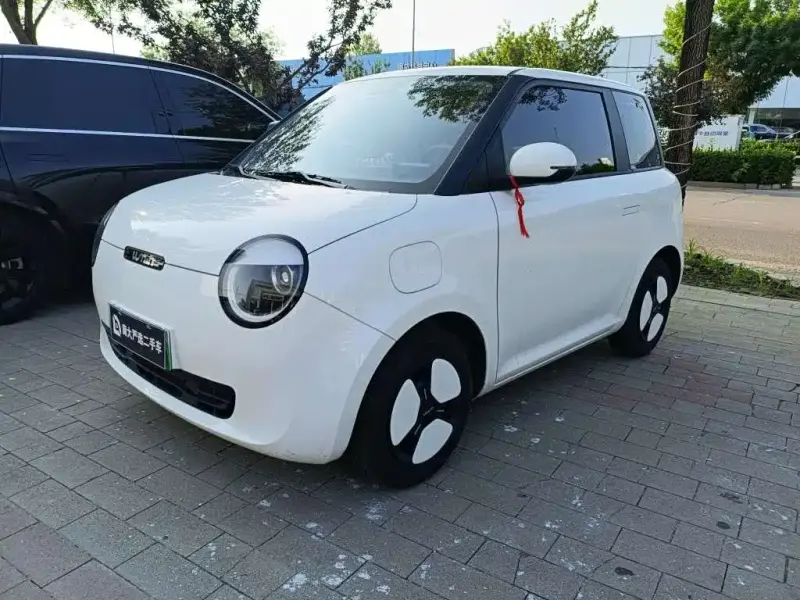 Qiyuan Lumin, 2024