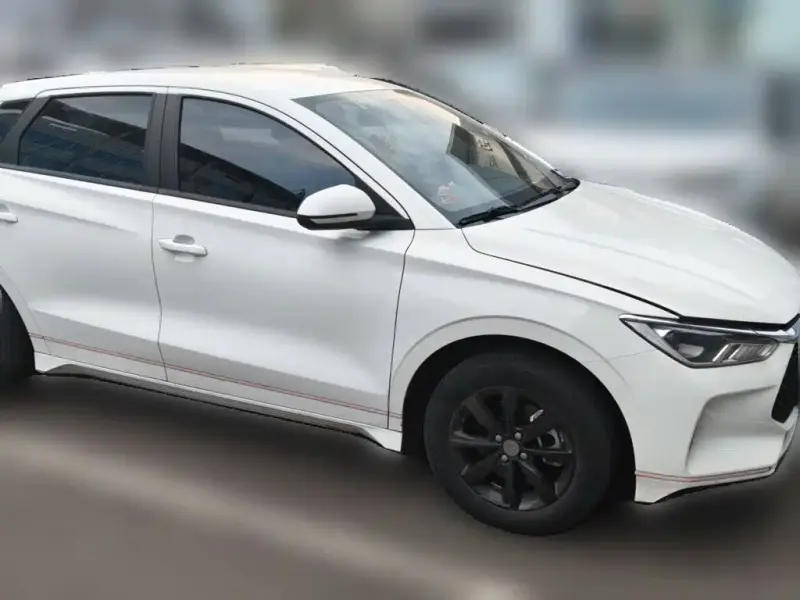 BYD e2, 2021