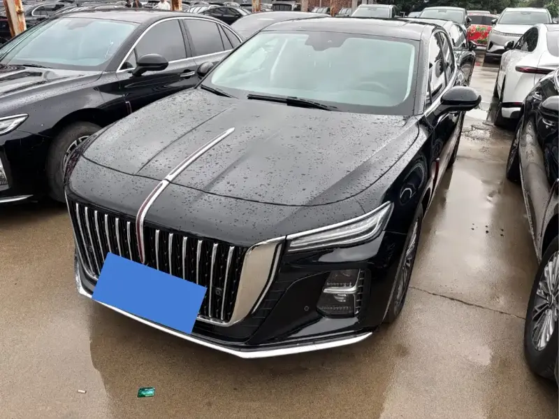 Hongqi H5, 2025