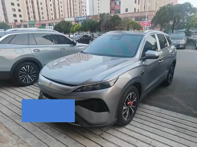 BYD Pro New Energy, 2025