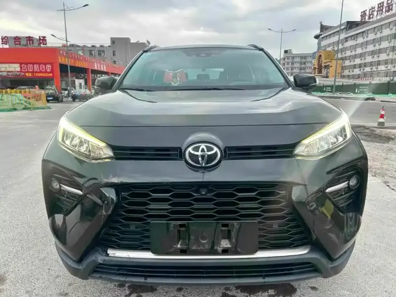 Toyota Wildlander, 2020