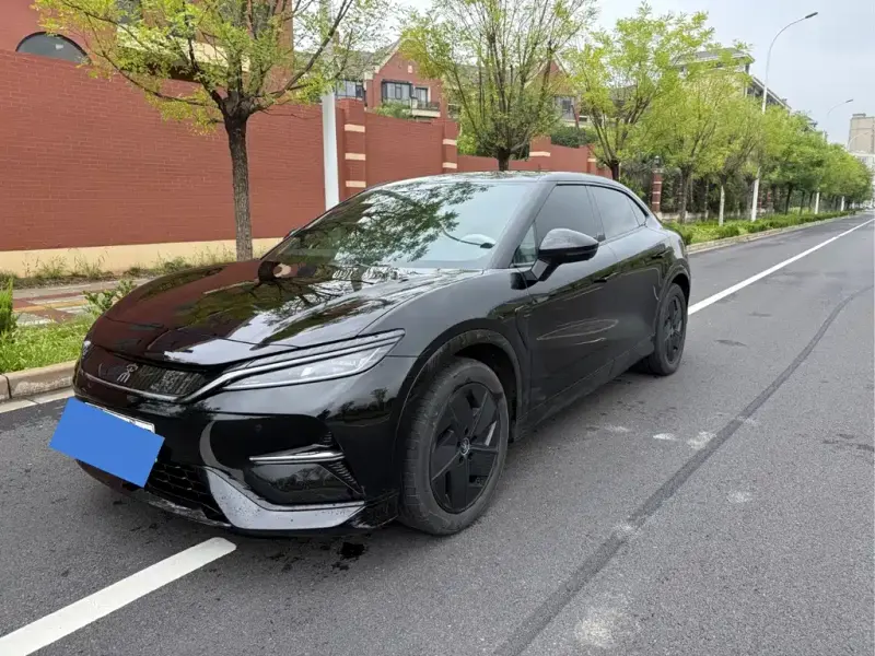 BYD L EV, 2024