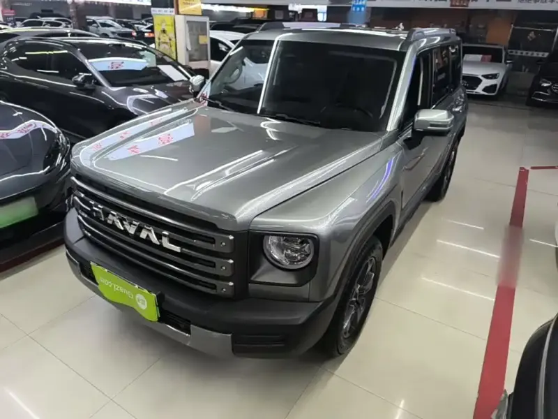 Haval Menglong New Energy, 2024