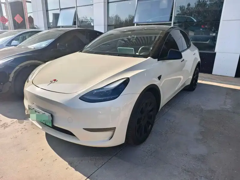Tesla Model Y, 2021