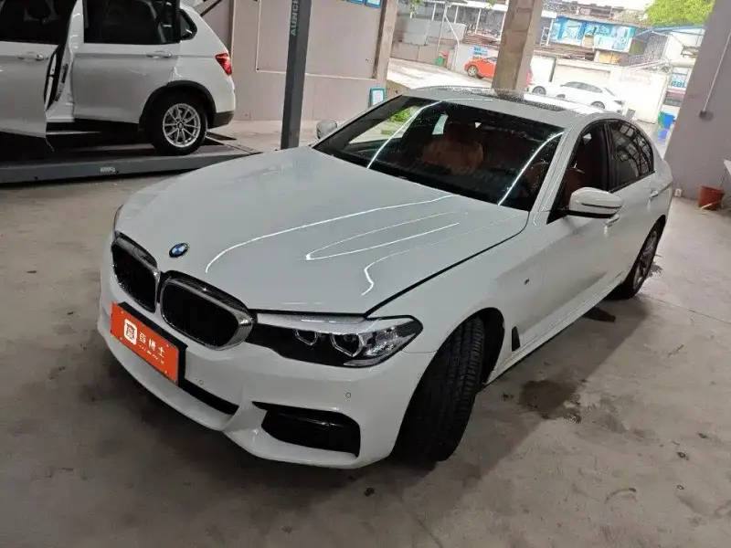 BMW 5 Series (Import), 2017