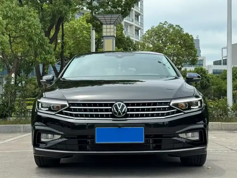 Volkswagen Magotan, 2024