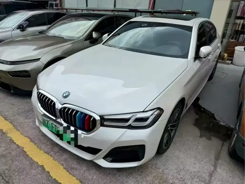 BMW 5 Series New Energy, 2021