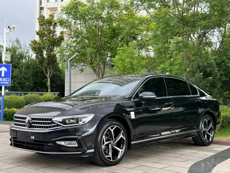 Volkswagen Magotan, 2024