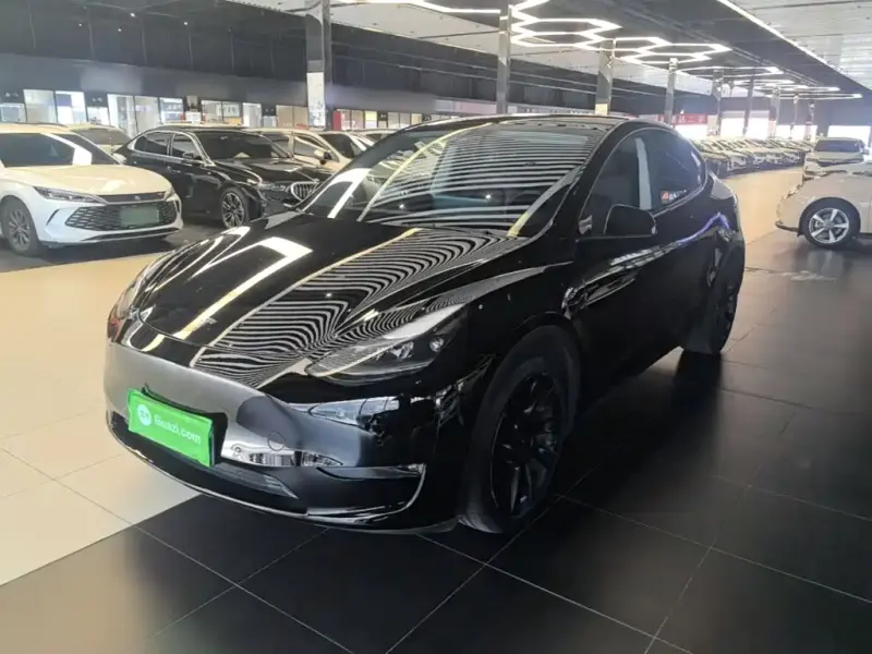 Tesla Model Y, 2021