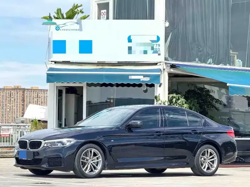 BMW 5 Series (Import), 2020