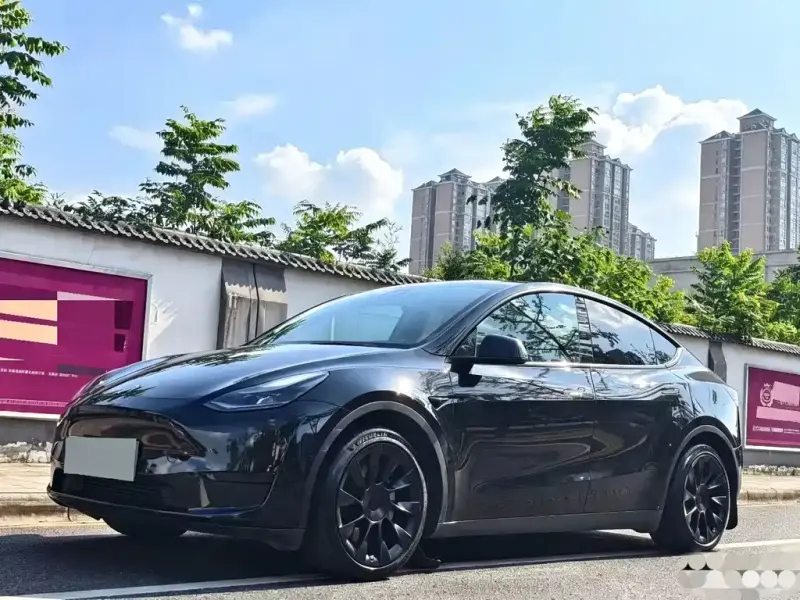 Tesla Model Y, 2022