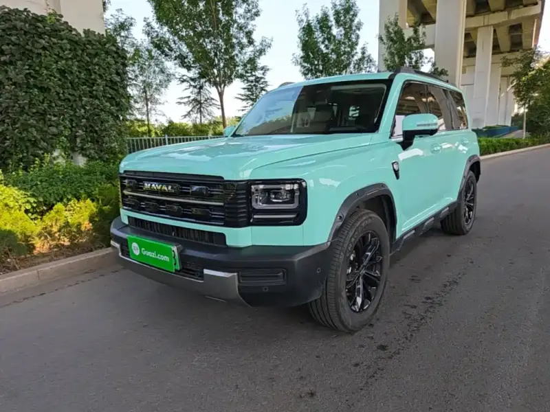 Haval Menglong New Energy, 2025