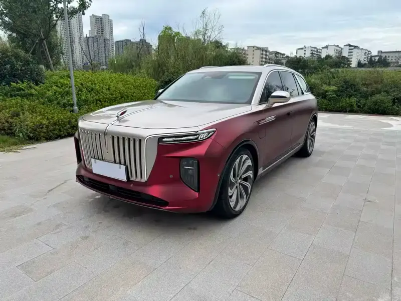 Hongqi E-HS9, 2021