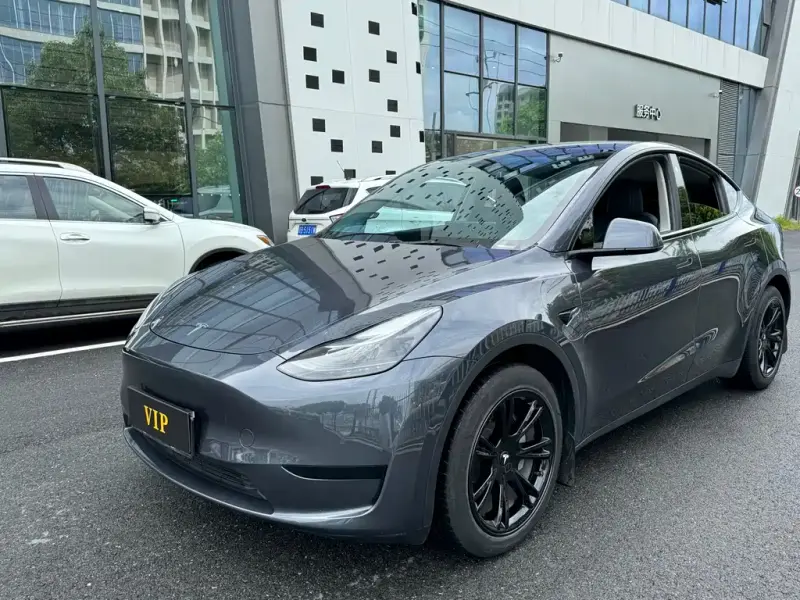 Tesla Model Y, 2022