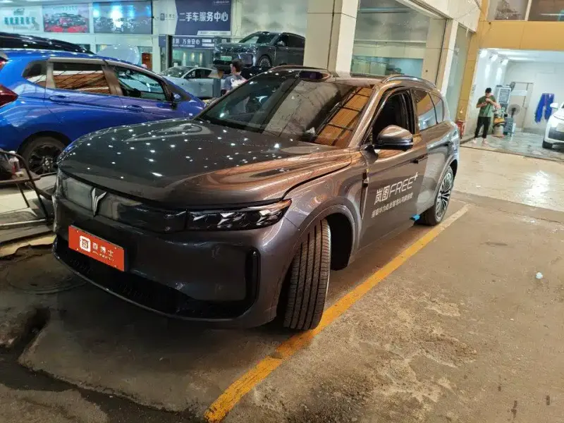 VOYAH Zhiyin, 2025