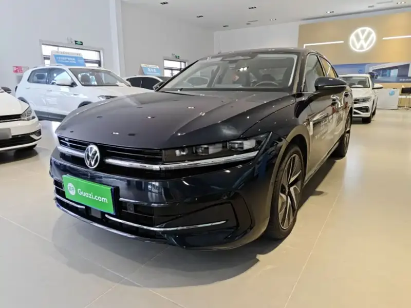Volkswagen Magotan, 2024