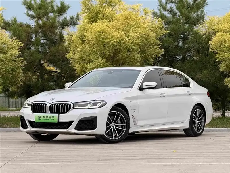 BMW 5 Series New Energy, 2021