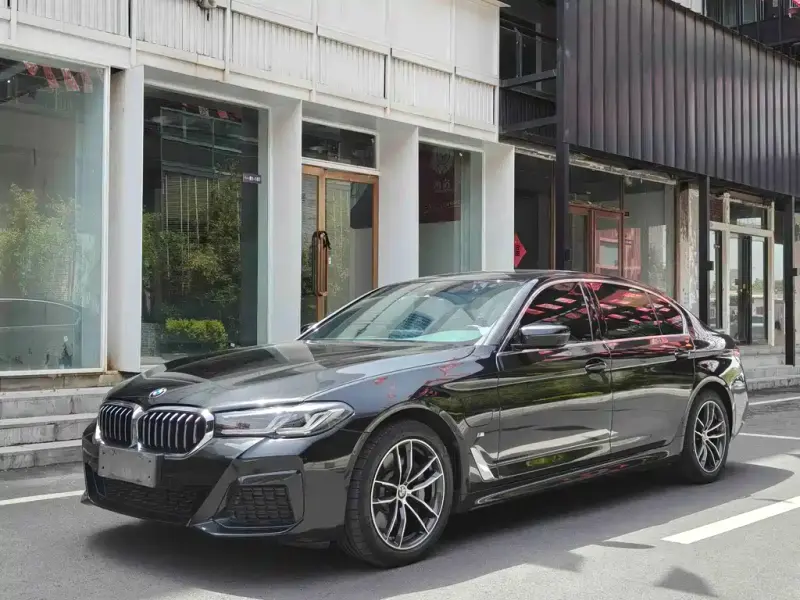 BMW 5 Series New Energy, 2021