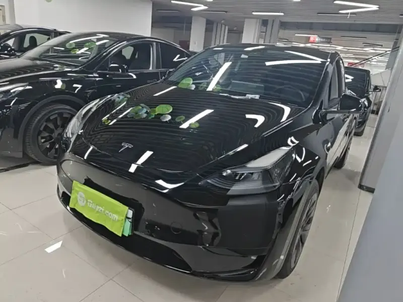 Tesla Model Y, 2024